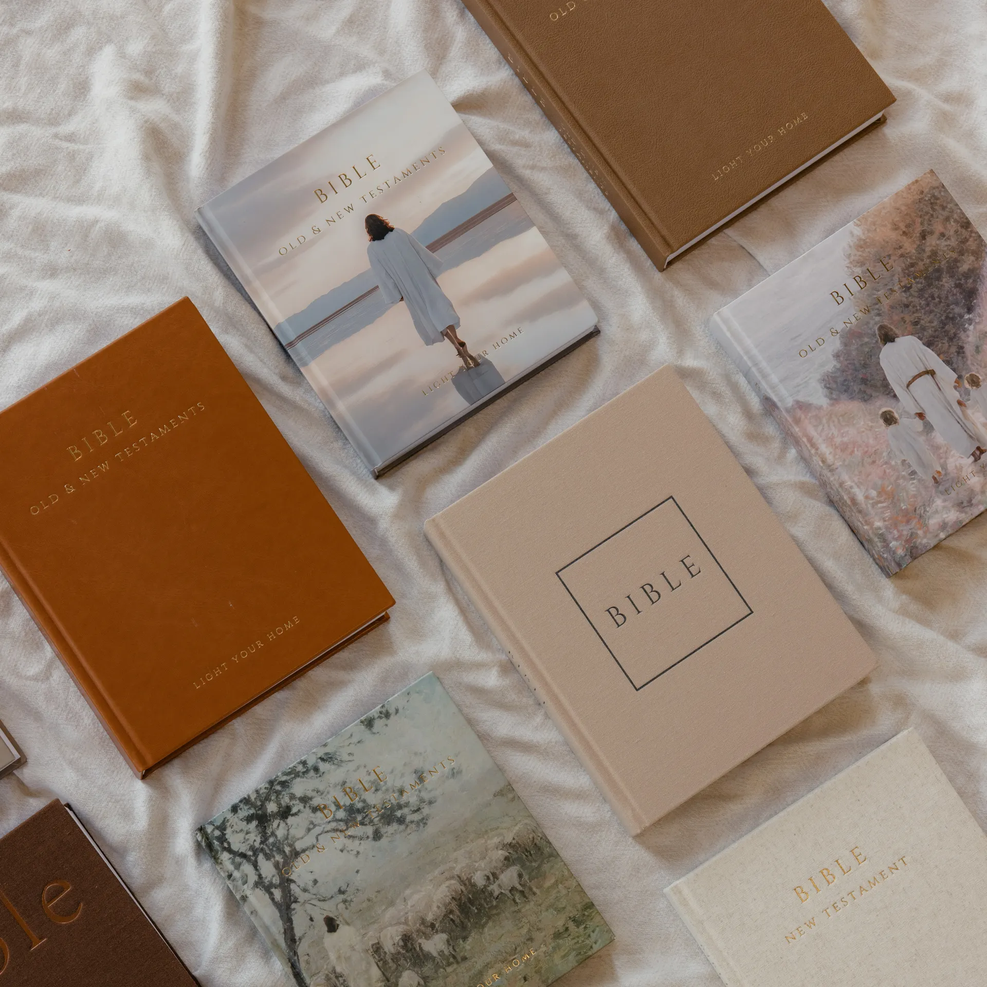 Bible - Reflections - Image 6