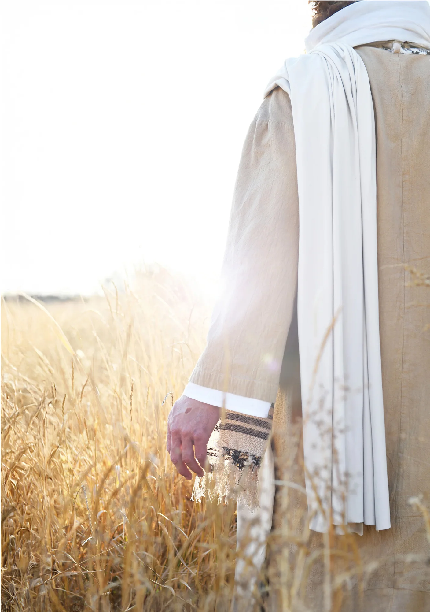 Wheat and the Tares - Canvas - Image 3