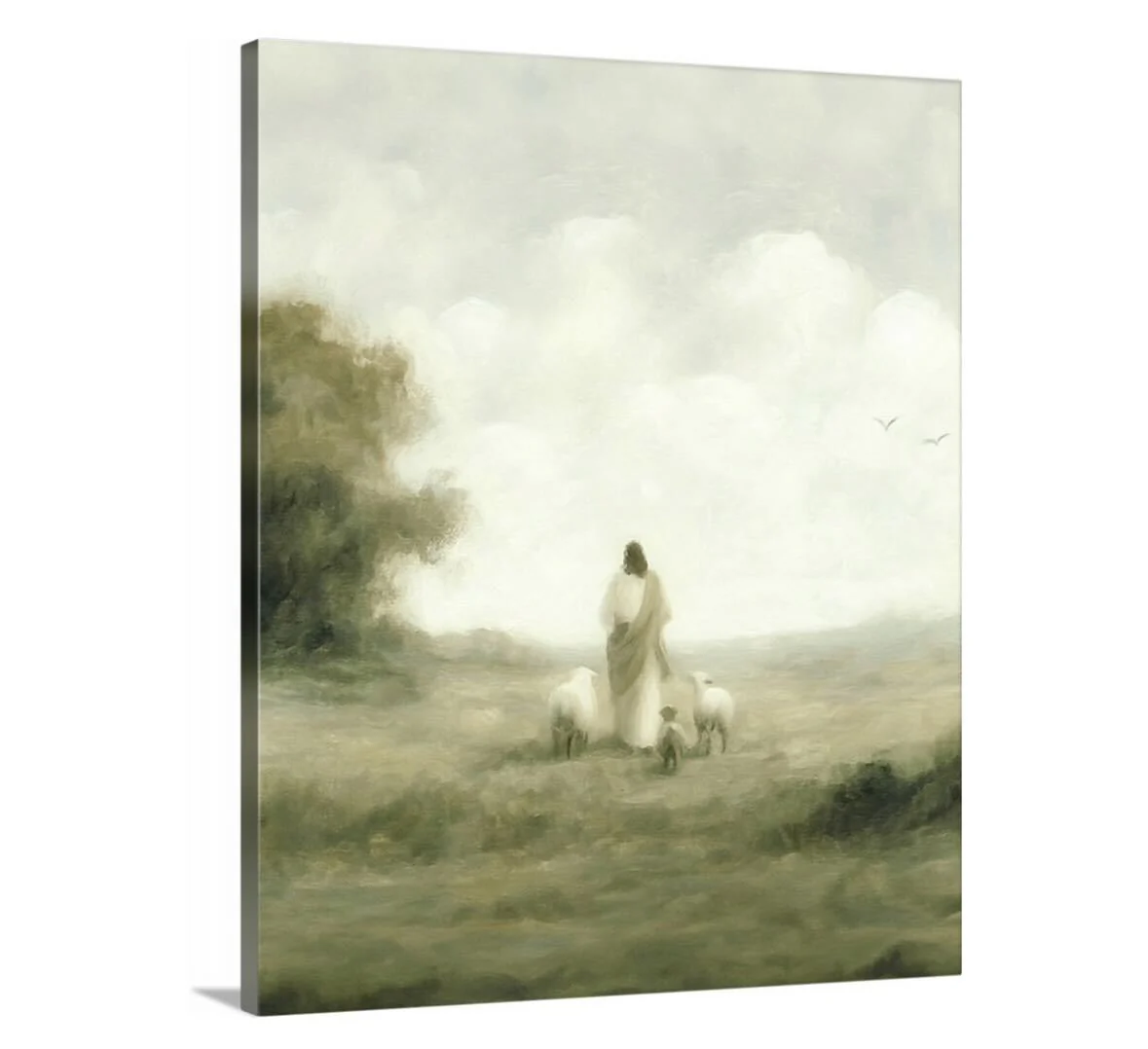 Guided - Canvas - Image 3