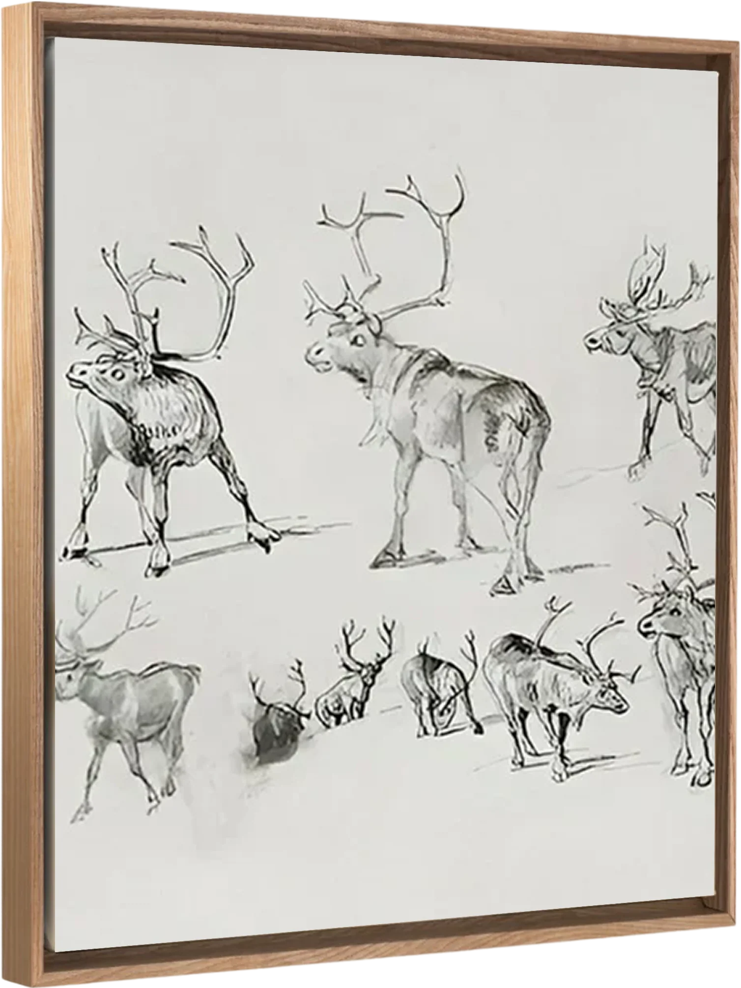 Reindeer - Canvas - Image 3