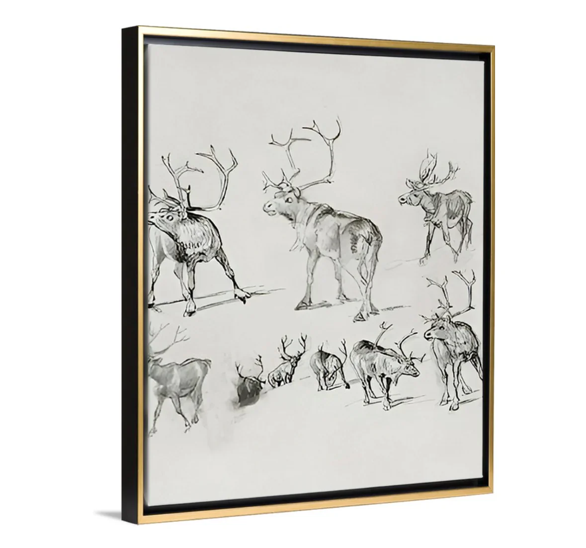 Reindeer - Canvas - Image 4