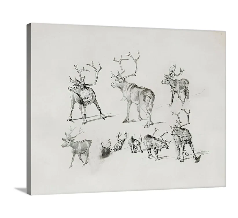 Reindeer - Canvas - Image 5