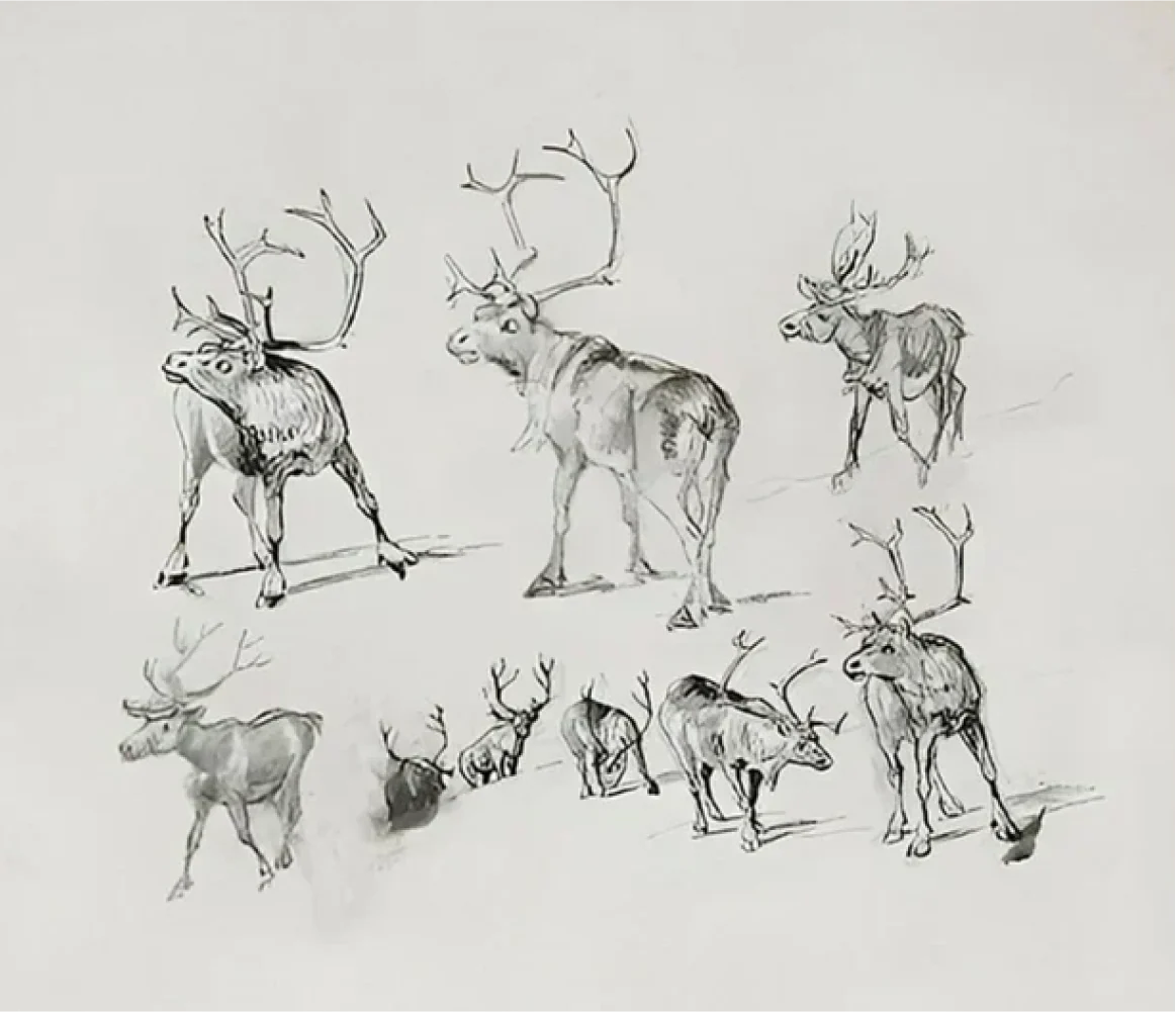 Reindeer - Canvas - Image 6