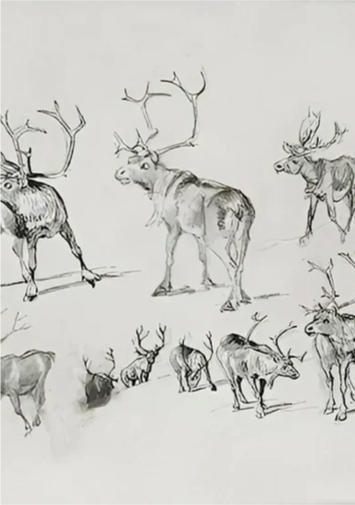 Reindeer - Canvas - Image 7