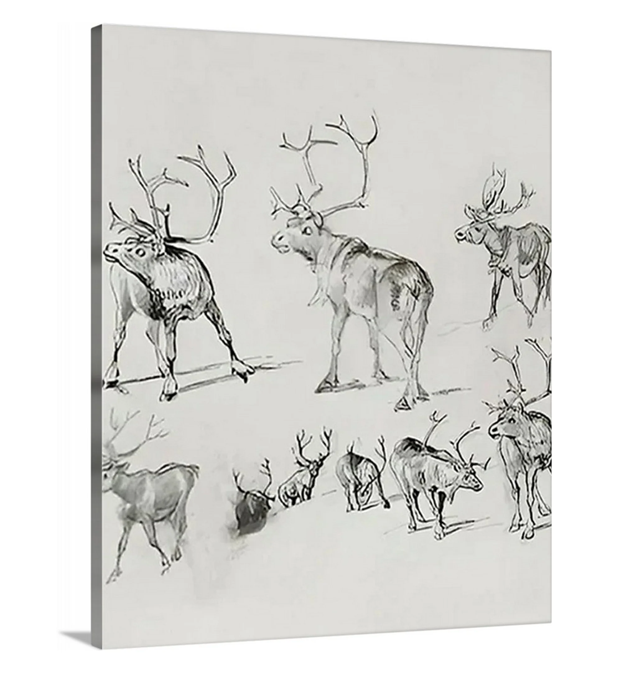 Reindeer - Canvas - Image 8