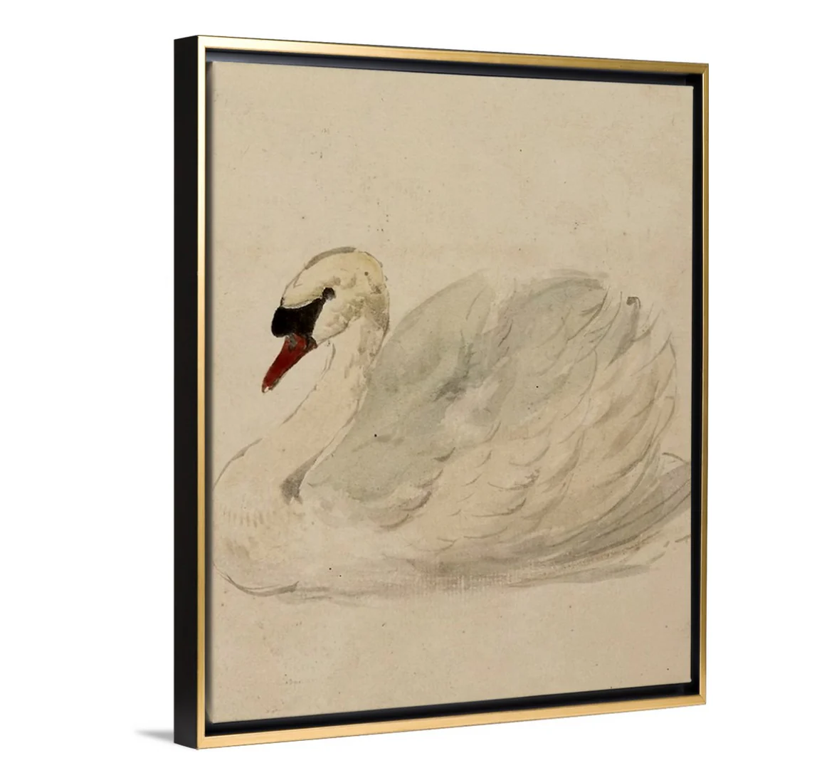 Swan - Canvas - Image 2