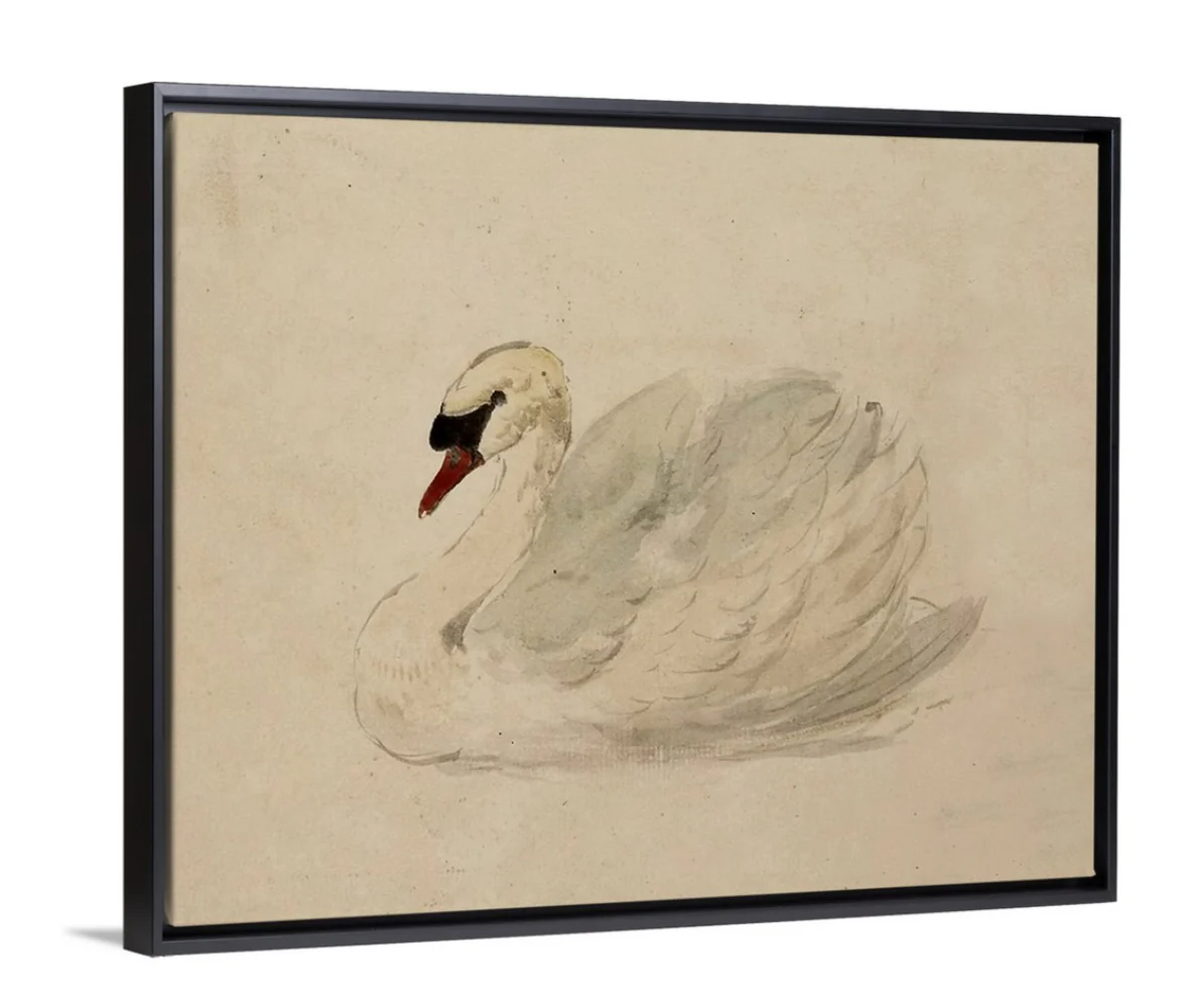 Swan - Canvas - Image 4
