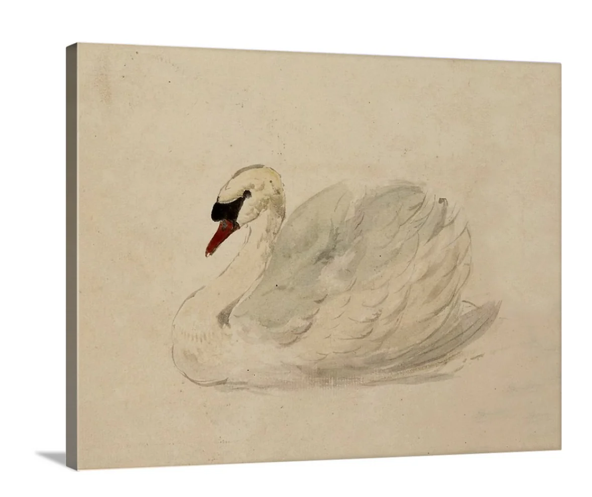 Swan - Canvas - Image 5