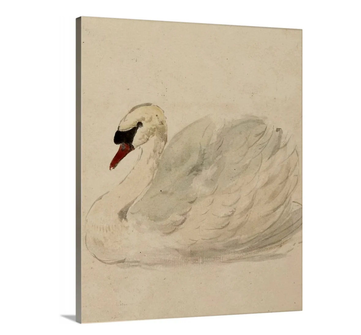 Swan - Canvas - Image 6
