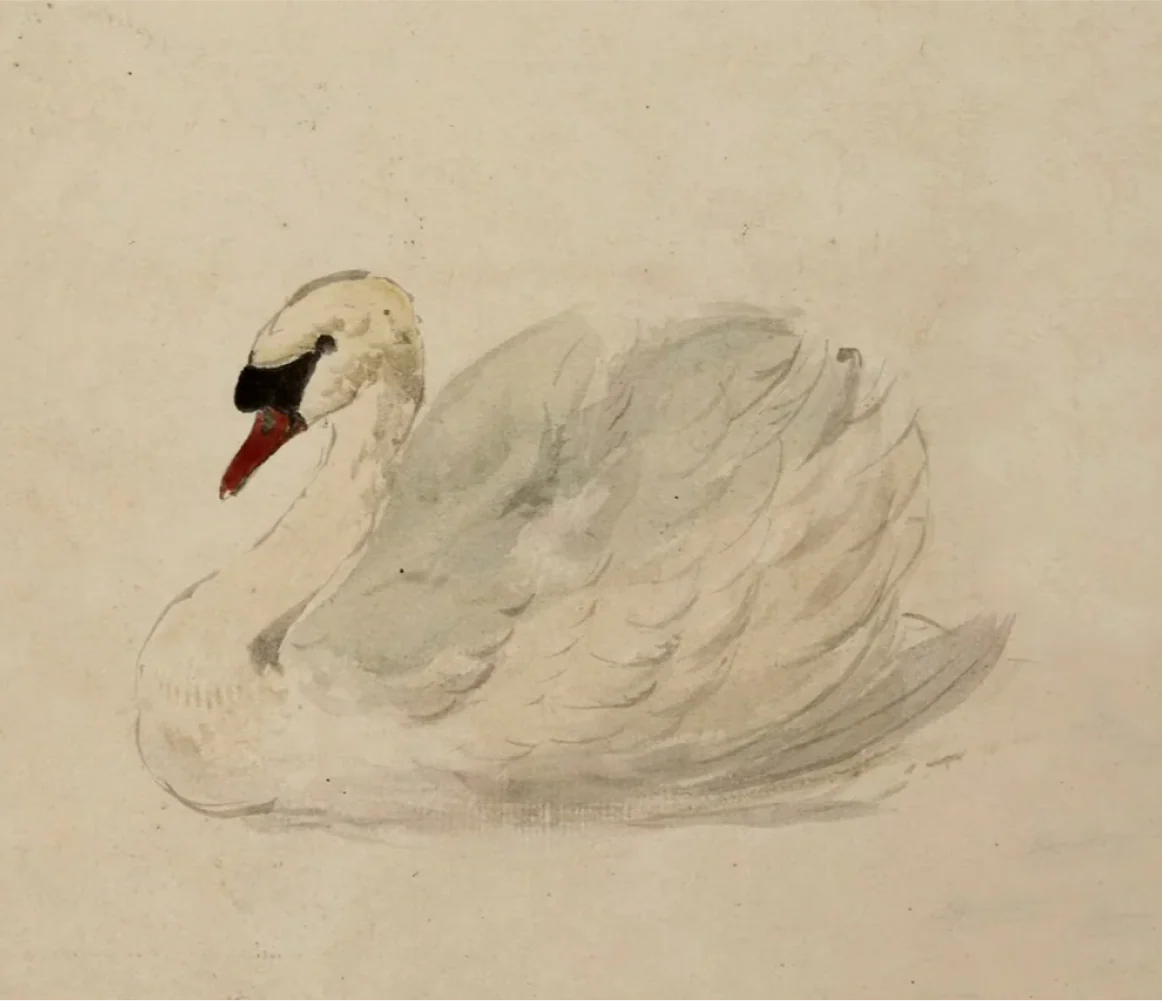 Swan - Canvas - Image 7