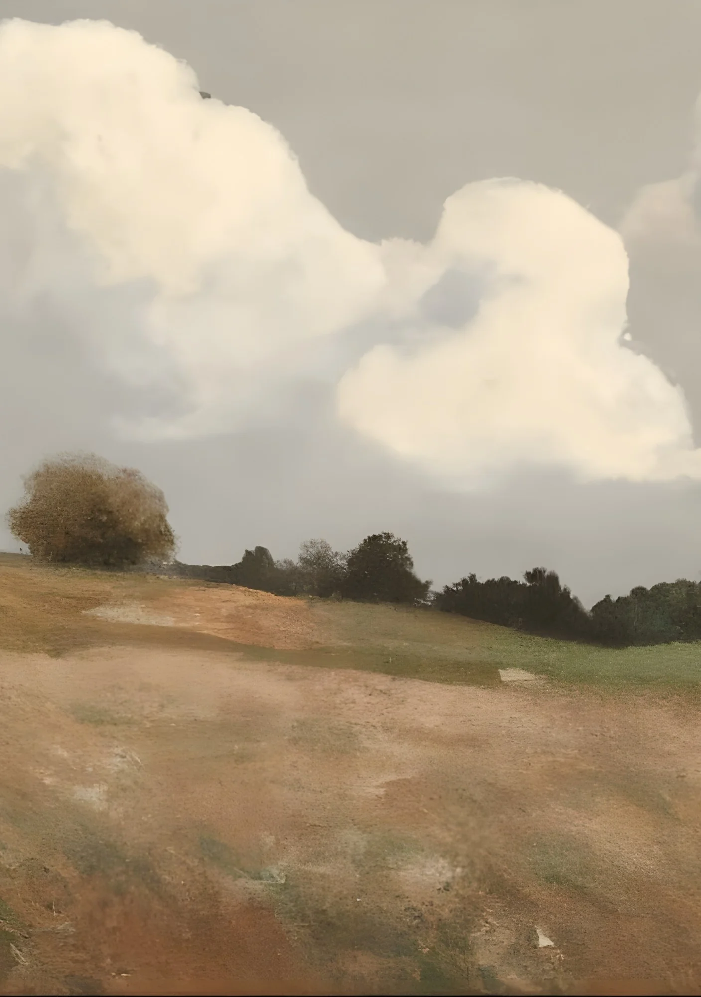 The Meadow - Canvas - Image 7